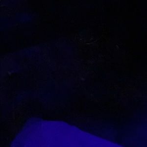 Meet your Posher, Tony